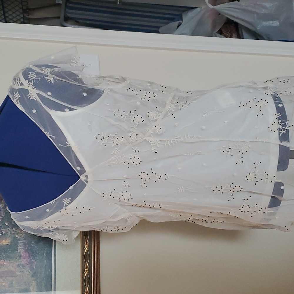 Gorgeous cream sheer top with floral design and bead work.
